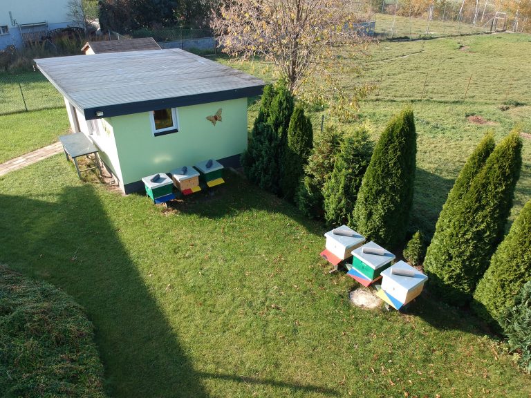 Luftaufnahme (Drohne) vom Bienenhaus mit Bienenstöcken im Garten